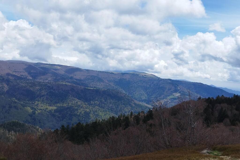 Maison De Montagne Vue Magnifique ว็องทรง ภายนอก รูปภาพ